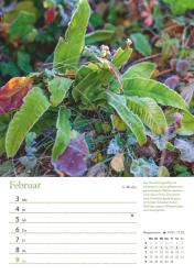 DUMONT - Ein Jahr in meinem Garten 2025 Wochenkalender, 21x29,7cm, Wandkalender mit Pflanzenporträts und handfesten Tipps, Garten- und Pflanzenpflege rund ums Jahr, praktisch, nützlich und d