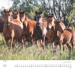 DUMONT - Geliebte Pferde 2025 Wandkalender, 38x35,5cm,  Fotokunst-Kalender mit schönen Pferde-Motiven von Christiane Slawik, mit Spiralbindung