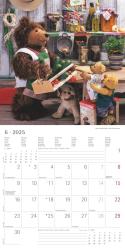 Alpha Edition - Teddy 2025 Broschürenkalender, 30x30cm, Wandkalender mit Platz für Notizen und Termine, schöne Teddy-Motive, Monatsübersicht und Ferientermine DE/AT/CH