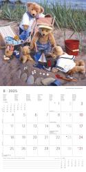 Alpha Edition - Teddy 2025 Broschürenkalender, 30x30cm, Wandkalender mit Platz für Notizen und Termine, schöne Teddy-Motive, Monatsübersicht und Ferientermine DE/AT/CH