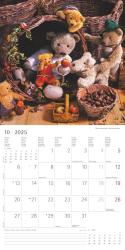 Alpha Edition - Teddy 2025 Broschürenkalender, 30x30cm, Wandkalender mit Platz für Notizen und Termine, schöne Teddy-Motive, Monatsübersicht und Ferientermine DE/AT/CH