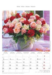 Alpha Edition - Rosenträume 2025 Bildkalender, 23,7x34cm, Wandkalender mit Platz für Notizen und vielen Infos, schöne Rosen-Bilder, deutsches Kalendarium und Ferientermine DE/AT/CH