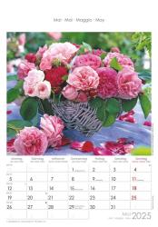 Alpha Edition - Rosenträume 2025 Bildkalender, 23,7x34cm, Wandkalender mit Platz für Notizen und vielen Infos, schöne Rosen-Bilder, deutsches Kalendarium und Ferientermine DE/AT/CH