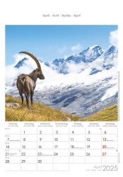 Alpha Edition - Alpen 2025 Bildkalender, 23,7x34cm, Wandkalender mit Platz für Notizen und vielen Infos, Bilder aus den Alpen, deutsches Kalendarium und Ferientermine DE/AT/CH