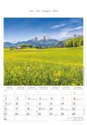 Alpha Edition - Alpen 2025 Bildkalender, 23,7x34cm, Wandkalender mit Platz für Notizen und vielen Infos, Bilder aus den Alpen, deutsches Kalendarium und Ferientermine DE/AT/CH