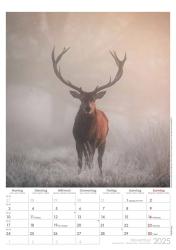 Alpha Edition - Auf der Pirsch 2025 Bildkalender, 29,7x42cm, Kalender mit hochwertigen Bildmotiven aus der Tierwelt, Notizmöglichkeiten für Termine, Mondphasen und Ferientermine DE/AT/CH