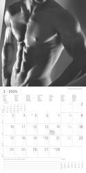 Alpha Edition - Masculine 2025 Broschürenkalender, 30x30cm, erotischer Wandkalender mit Platz für Notizen und Termine, erotische Motive, Monatsübersicht und Ferientermine DE/AT/CH