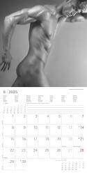 Alpha Edition - Masculine 2025 Broschürenkalender, 30x30cm, erotischer Wandkalender mit Platz für Notizen und Termine, erotische Motive, Monatsübersicht und Ferientermine DE/AT/CH