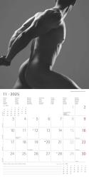 Alpha Edition - Masculine 2025 Broschürenkalender, 30x30cm, erotischer Wandkalender mit Platz für Notizen und Termine, erotische Motive, Monatsübersicht und Ferientermine DE/AT/CH