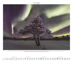 PALAZZI - Polarlicht 2025 Wandkalender, 60x50cm, Posterkalender mit brillanten Aufnahmen vom Naturspektakel, überwältigende Lichter, Erläuterungen auf dem Rückblatt, internationales Kalendar