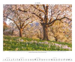 PALAZZI - Naturland Deutschland 2025 Wandkalender, 60x50cm, Posterkalender mit schönen Bildern aus Nationalsparks und Naturschutzgebieten, Felder, Wiesen und Wälder, internationales Kalendar