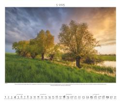 PALAZZI - Naturland Deutschland 2025 Wandkalender, 60x50cm, Posterkalender mit schönen Bildern aus Nationalsparks und Naturschutzgebieten, Felder, Wiesen und Wälder, internationales Kalendar