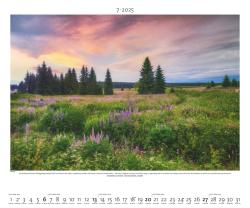 PALAZZI - Naturland Deutschland 2025 Wandkalender, 60x50cm, Posterkalender mit schönen Bildern aus Nationalsparks und Naturschutzgebieten, Felder, Wiesen und Wälder, internationales Kalendar