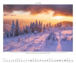 PALAZZI - Naturland Deutschland 2025 Wandkalender, 60x50cm, Posterkalender mit schönen Bildern aus Nationalsparks und Naturschutzgebieten, Felder, Wiesen und Wälder, internationales Kalendar