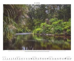 PALAZZI - Regenwald 2025 Wandkalender, 60x50cm, Posterkalender mit majestätischen Aufnahmen aus der grünen Wildnis, hochwertige Fotografie, eine Reise in die Tropen, internationales Kalendar