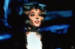 Cats, 1 DVD - DVD