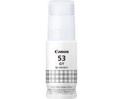 Canon Ink Bottle grey