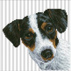 Verpackung für einen Diamond Dotz Kunstkit. Abbildung eines Hundegesichts in verschiedenen Farben.