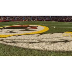 MADDEN NFL 25