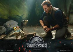 Jurassic World: Das gefallene Königreich, 1 DVD - DVD