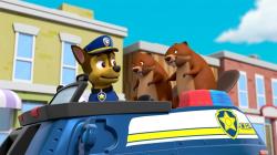 Paw Patrol: Auf Rettungsmission, 1 DVD - DVD