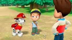 Paw Patrol: Auf Rettungsmission, 1 DVD - DVD