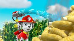 Paw Patrol: Auf Rettungsmission, 1 DVD - DVD