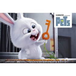 Pets, 1 DVD (Illumination Line Look) - DVD