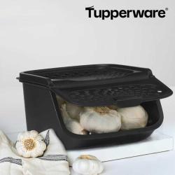 TUPPERWARE GarlicSmart Vorratsbehälter für Knoblauch schwarz