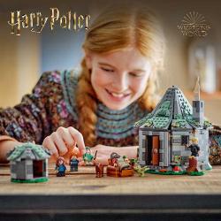 LEGO® Harry Potter Hagrids Hütte: Ein unerwarteter Besuch 896 Teile 76428