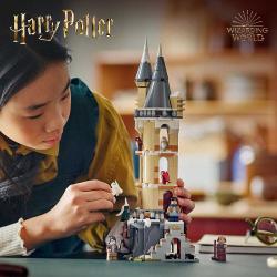 LEGO® Harry Potter Eulerei auf Schloss Hogwarts 364 Teile 76430