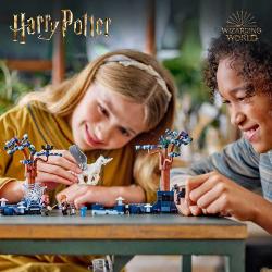 LEGO® Harry Potter Der verbotene Wald™: Magische Wesen 172 Teile 76432