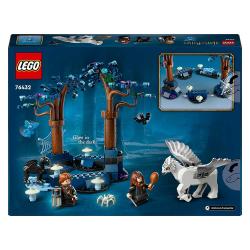 LEGO® Harry Potter Der verbotene Wald™: Magische Wesen 172 Teile 76432