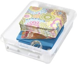 Transparente Kunststoffbox mit einem Deckel. Rechteckige Form, praktische Griffe an den Seiten.