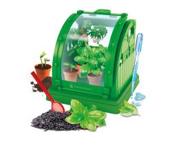 Mini-Gewächshaus in grün mit Pflanzen und Töpfen. Enthält Zubehör zum Pflanzen und Experimentieren.