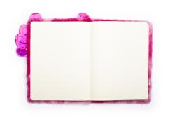 Sketchbuch Dreampop Axolotl pink
