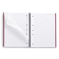 Offenes Ringbuch mit linierten Seiten. Die Seiten sind weiß mit blauen Linien.