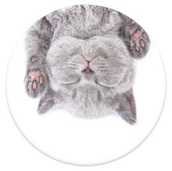 PopSocket - Cat Nap, 1 Stück 