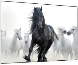 Schwarzes Pferd im Vordergrund, umgeben von weißen Pferden. Pferde in Bewegung, dynamische Mähne. Heller Hintergrund.