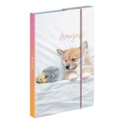 Notizbuch mit einem schlafenden Welpen und Kätzchen auf dem Cover. Der Titel 'Amazing!' ist in goldener Schrift.