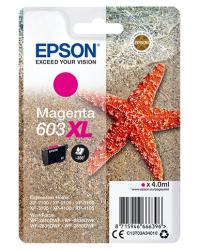 Magenta Tintenpatrone der Marke Epson. Verpackung zeigt einen Stern und Sand.