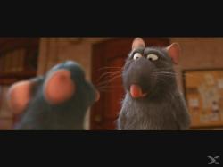 Ratatouille, 1 DVD - DVD