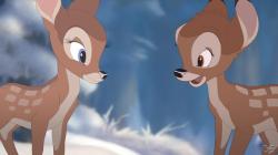 Bambi 1+2, 2 DVDs - DVD