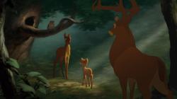 Bambi 1+2, 2 DVDs - DVD