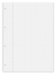 Format Two In One Collegeblock A4, liniert & kariert 