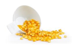 Popcornmaschine mit transparentem Behälter. Oben befindet sich ein weißer Deckel.