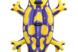 Schwimmtier Salamander gelb/lila