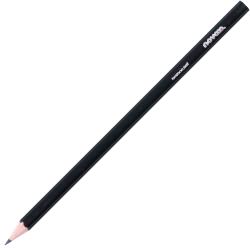 NOVOOO Creative Bleistifte HB 12 Stück schwarz lackiert