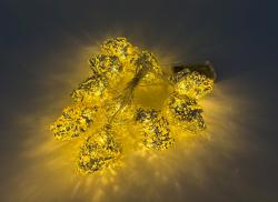 NOVOOO Seasons LED-Lichterkette mit Skelettköpfen