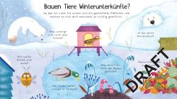 Katie Daynes: Erstes Aufklappen und Verstehen: Wo sind die Tiere im Winter? - gebunden